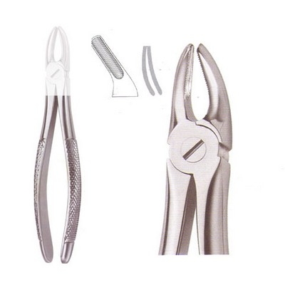 Extracting Forceps